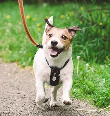 JFP-Process_0002_shutterstock_2225043417